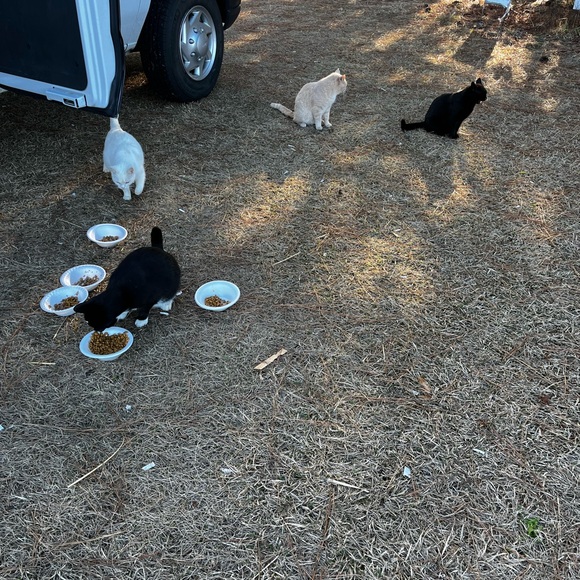 Meet your Posher, Lisa - Picture 16 of 17